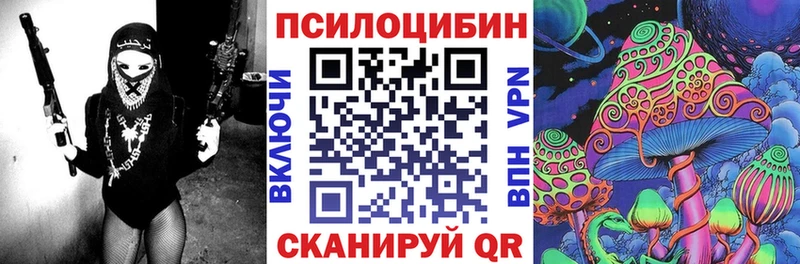 наркотики  Дмитров  Псилоцибиновые грибы Psilocybe 